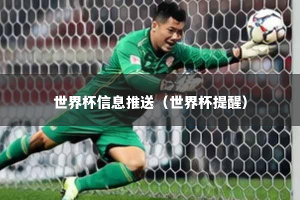 世界杯信息推送（世界杯提醒）