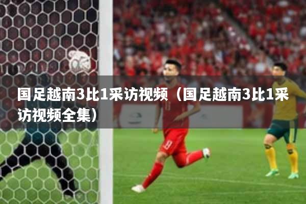 国足越南3比1采访视频(国足越南3比1采访视频全集)