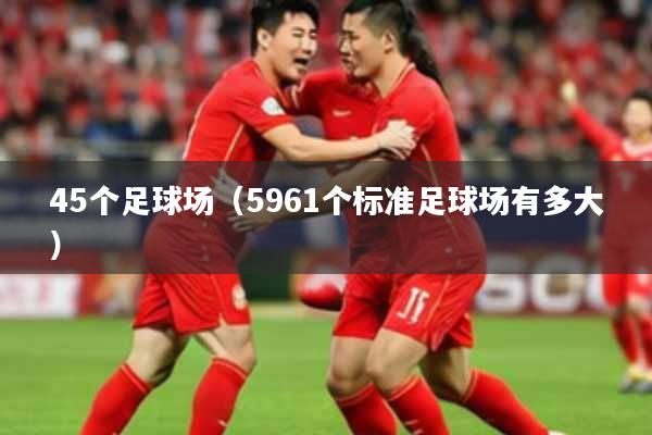 45个足球场(5961个标准足球场有多大)